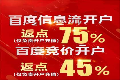 某旅游网站SEM优化案例：如何吸引目标用户